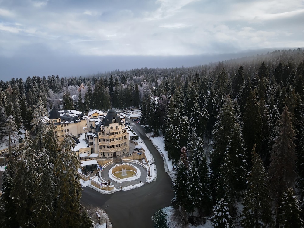 Festa Winter Palace 45/50