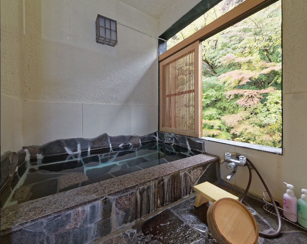 Ichinoyu Honkan 41/58