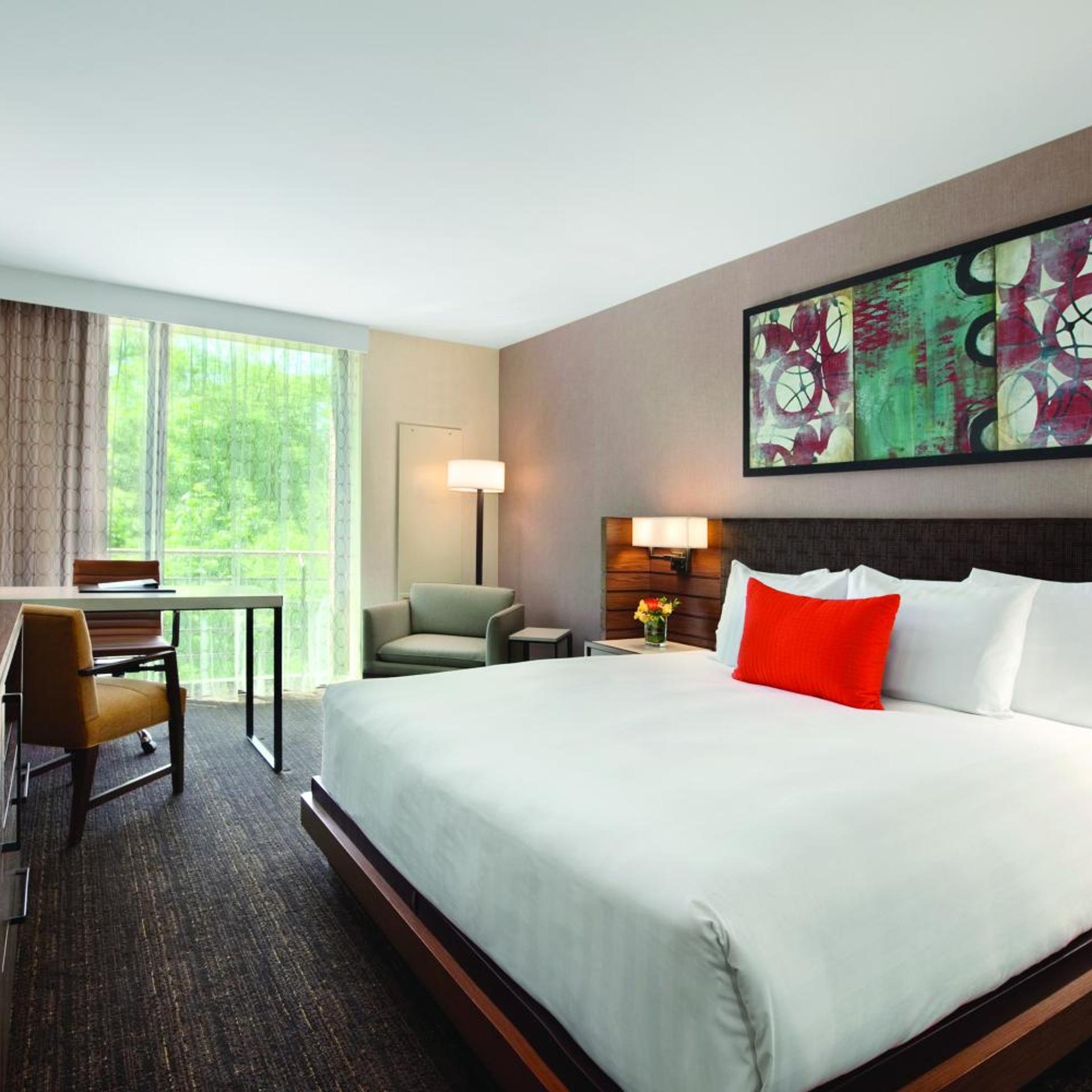Room, King Bed, Allergy Friendly
