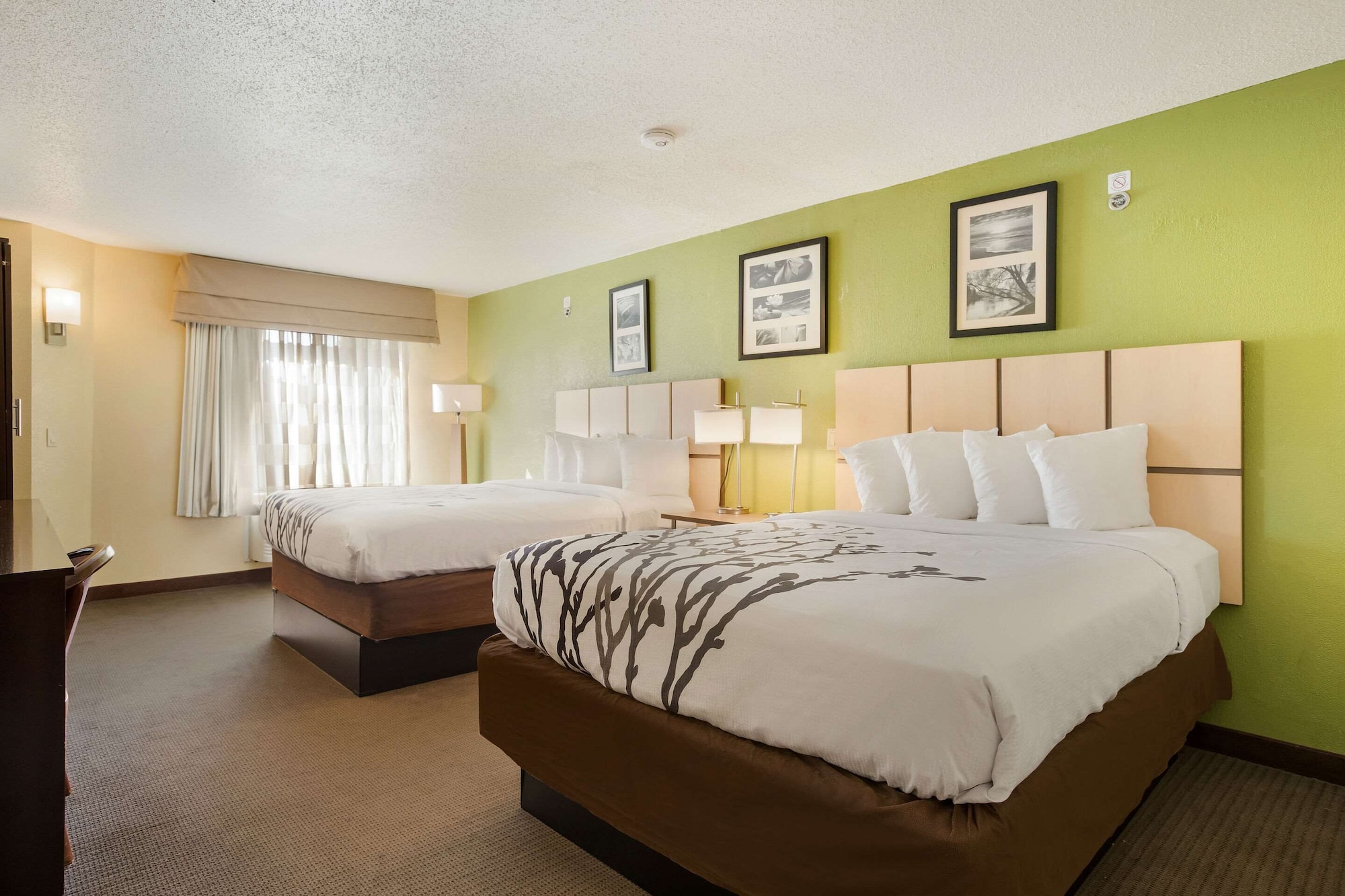 ROOM, 2 DOUBLE BEDS, ACCESSIBLE