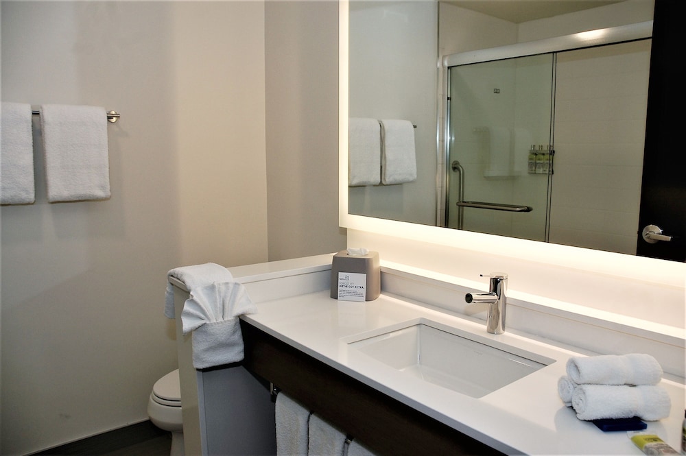 Holiday Inn Express And Suites Edmonton Sw Windermere 21/78