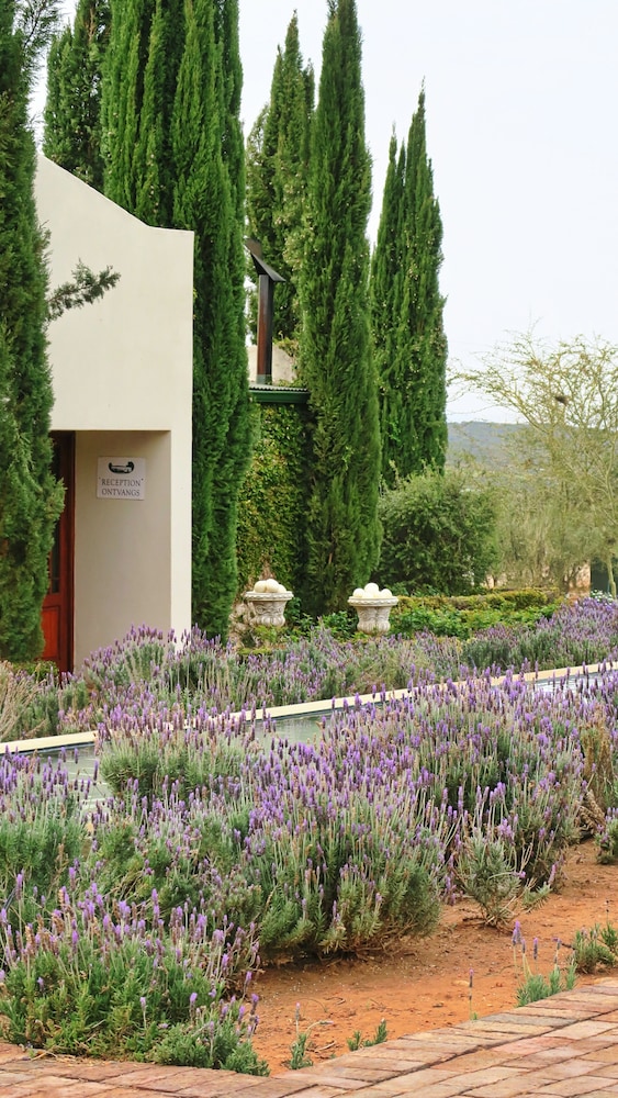 Berluda Farmhouse & Cottages 41/50