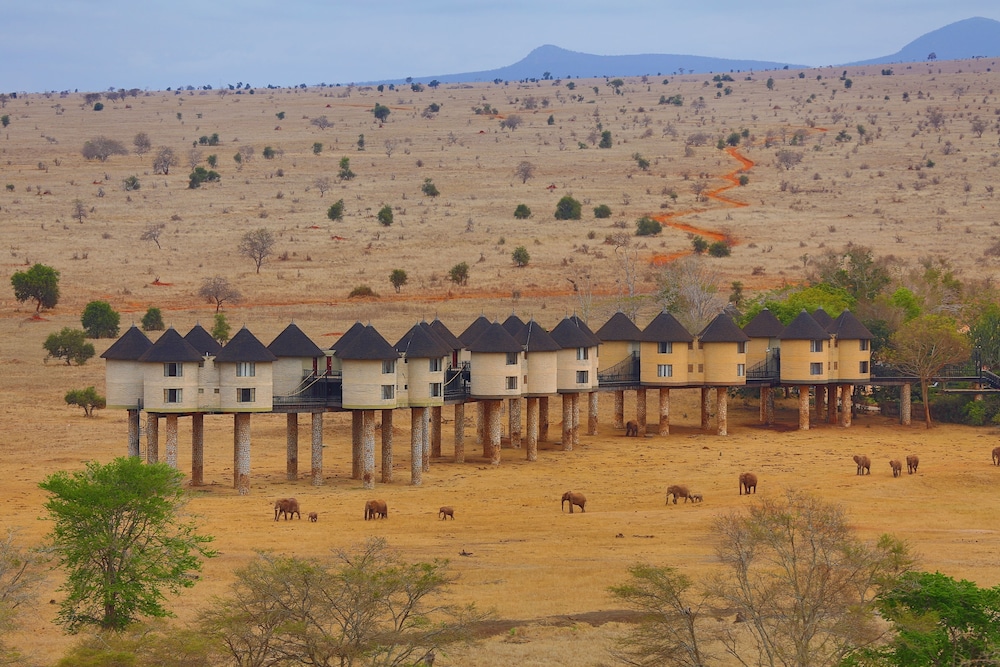 Salt Lick Safari Lodge 38/55