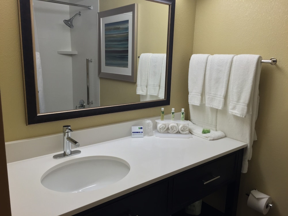 Holiday Inn Express Chicago NW - Arlington Heights, an IHG Hotel 17/54