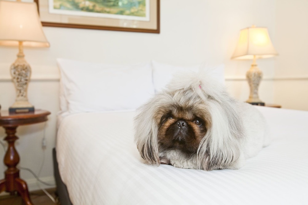 The Hughenden Boutique Hotel 39/76