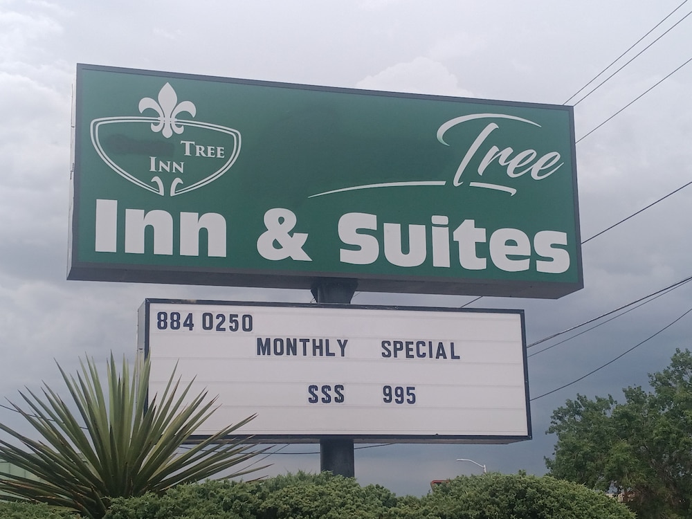 Tree Inn & Suites Albuquerque 3/27