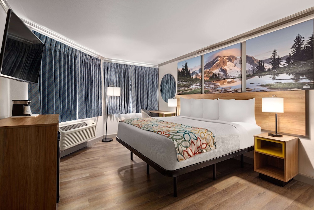Efficiency, King Bed