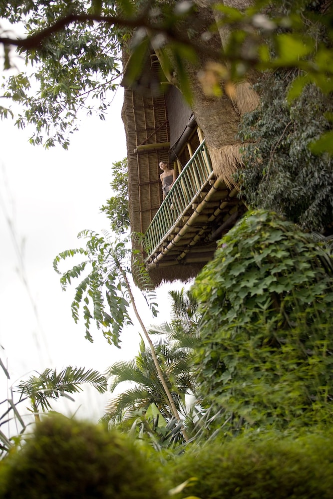 Kupu Kupu Barong Villas And Tree Spa 68/74