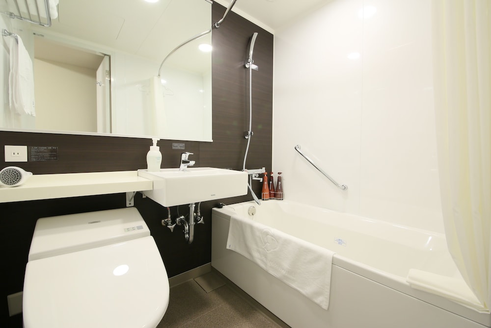 Daiwa Roynet Hotel Osaka Kitahama 17/41