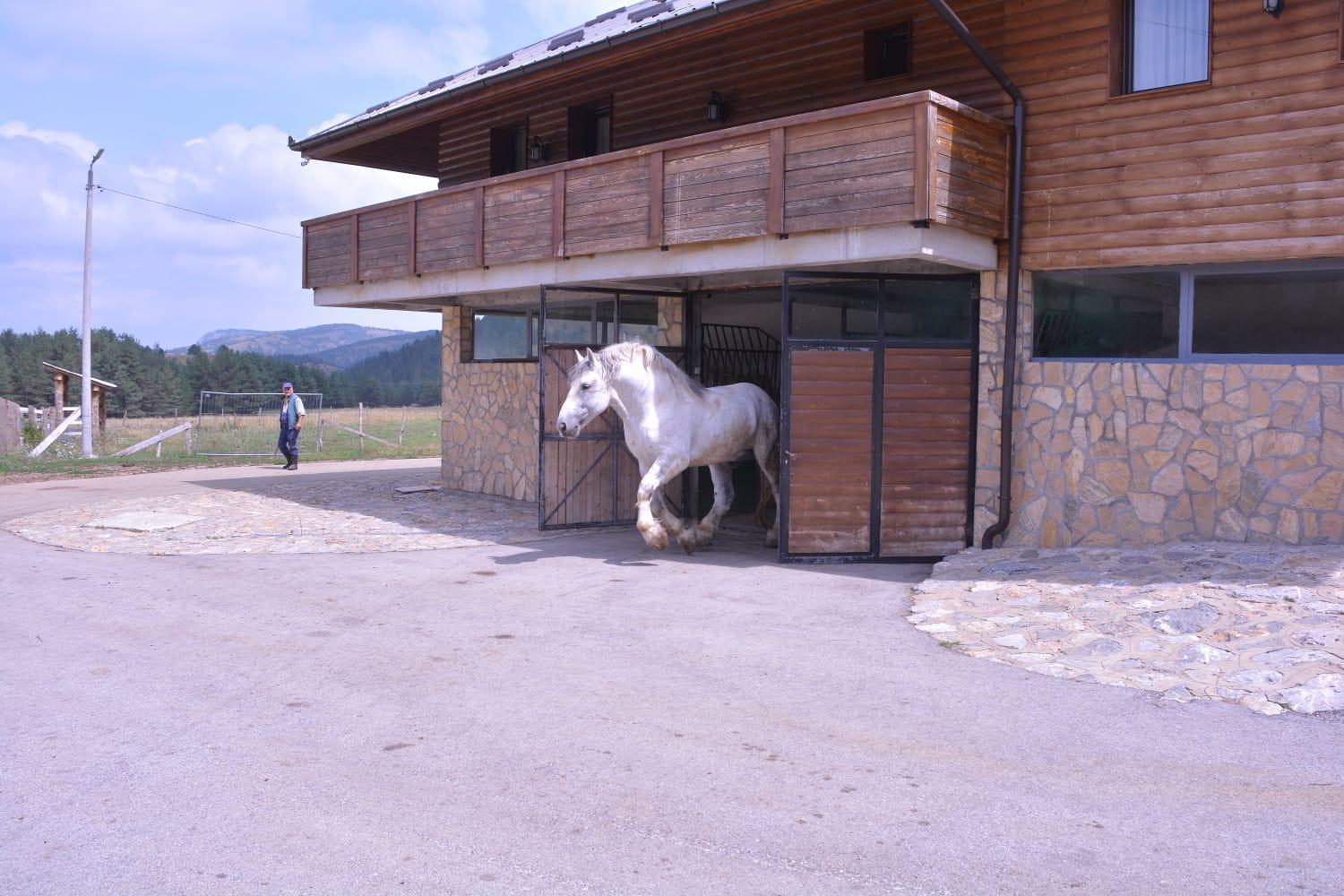 Borici Hotel-sjenica 46/54