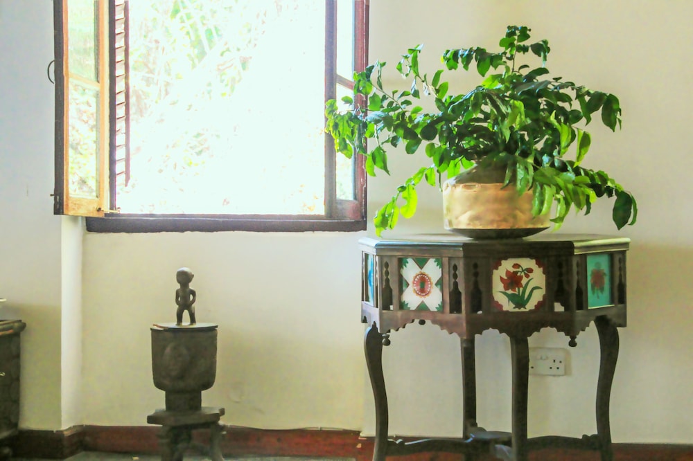 Hiliki House 5/46