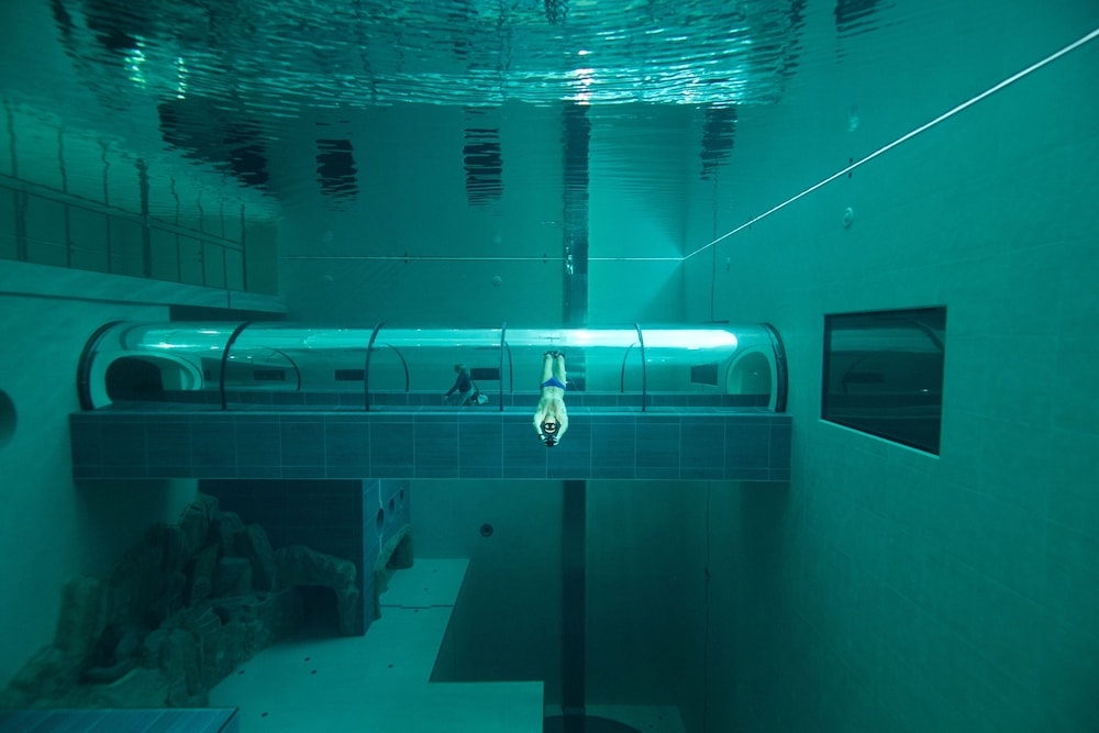 Terme Millepini 6/50