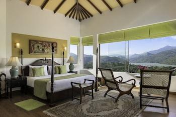 Suite, King Bed