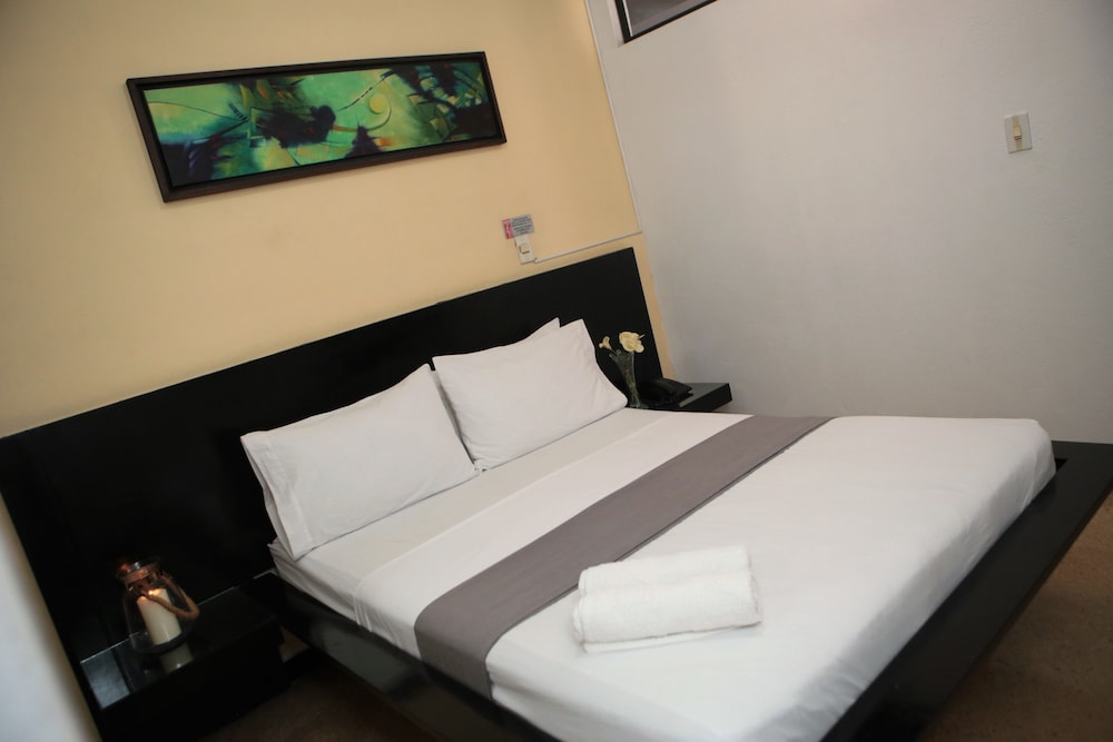 Hotel Natural Medellin 17/62