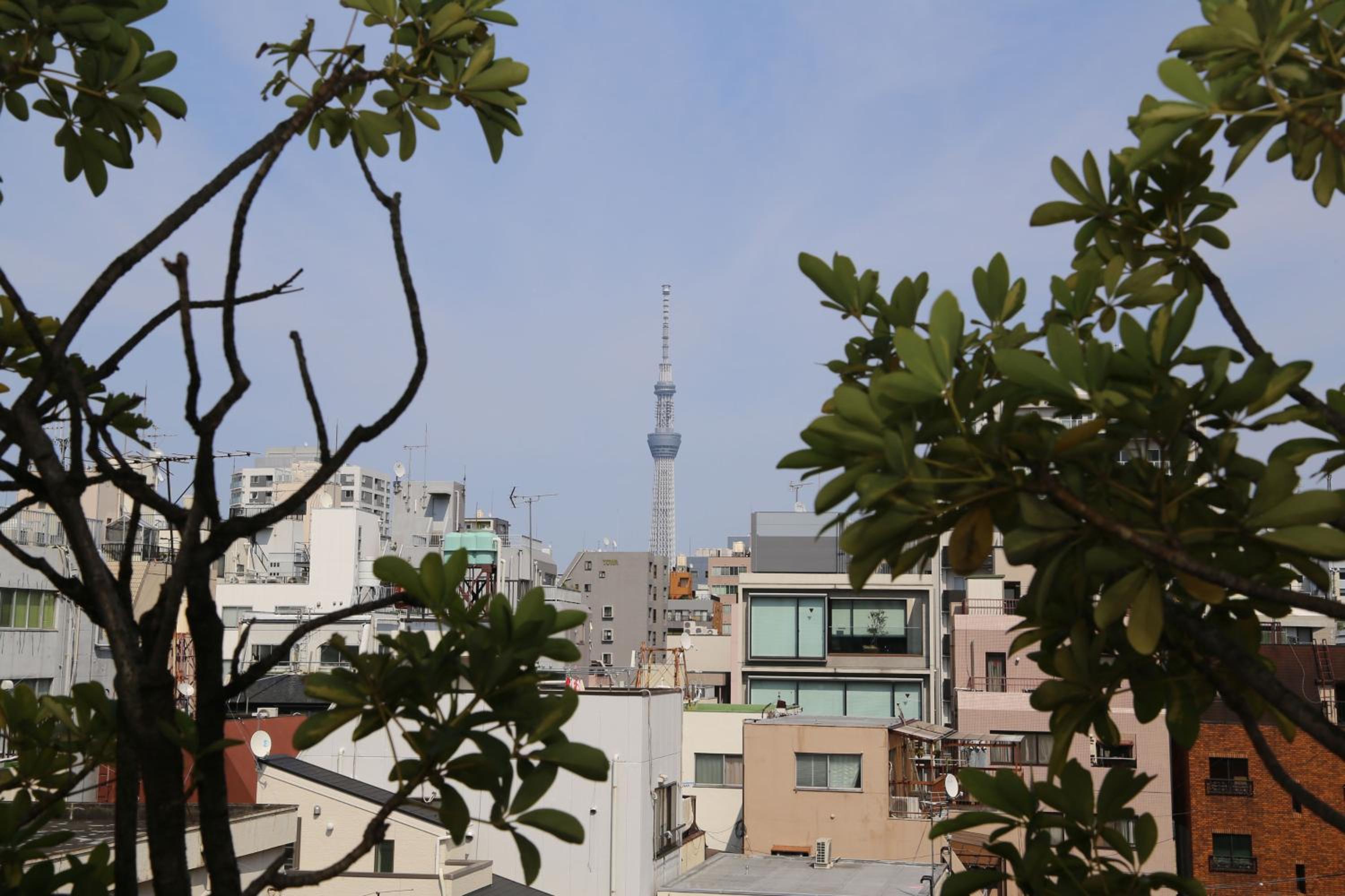 Tokyo Ueno New Izu Hotel (ex New Izu Hotel) 28/33