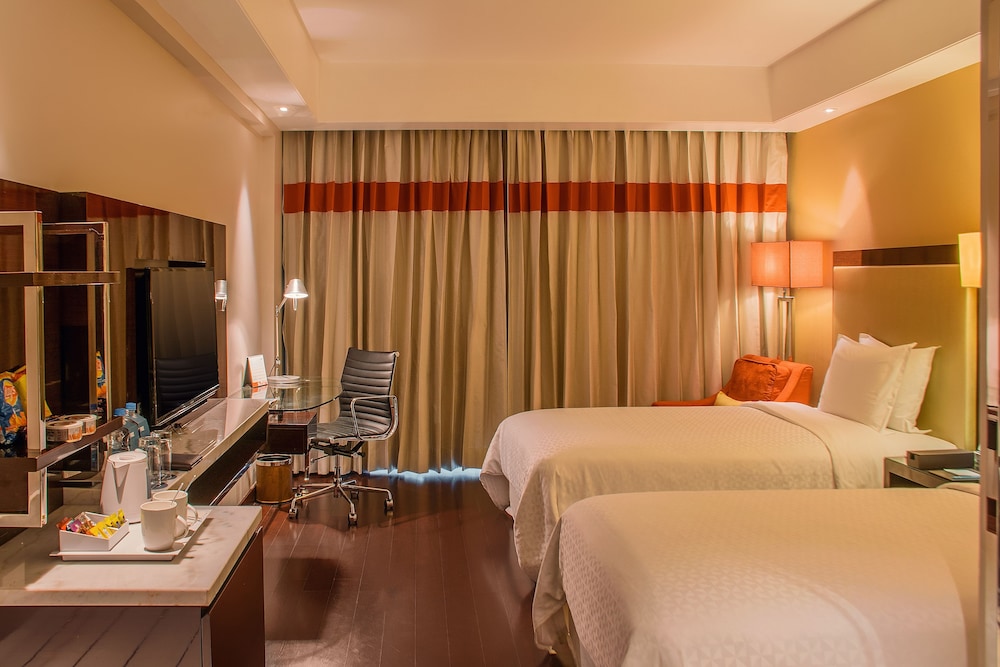 Radisson Hotel Agra 23/68
