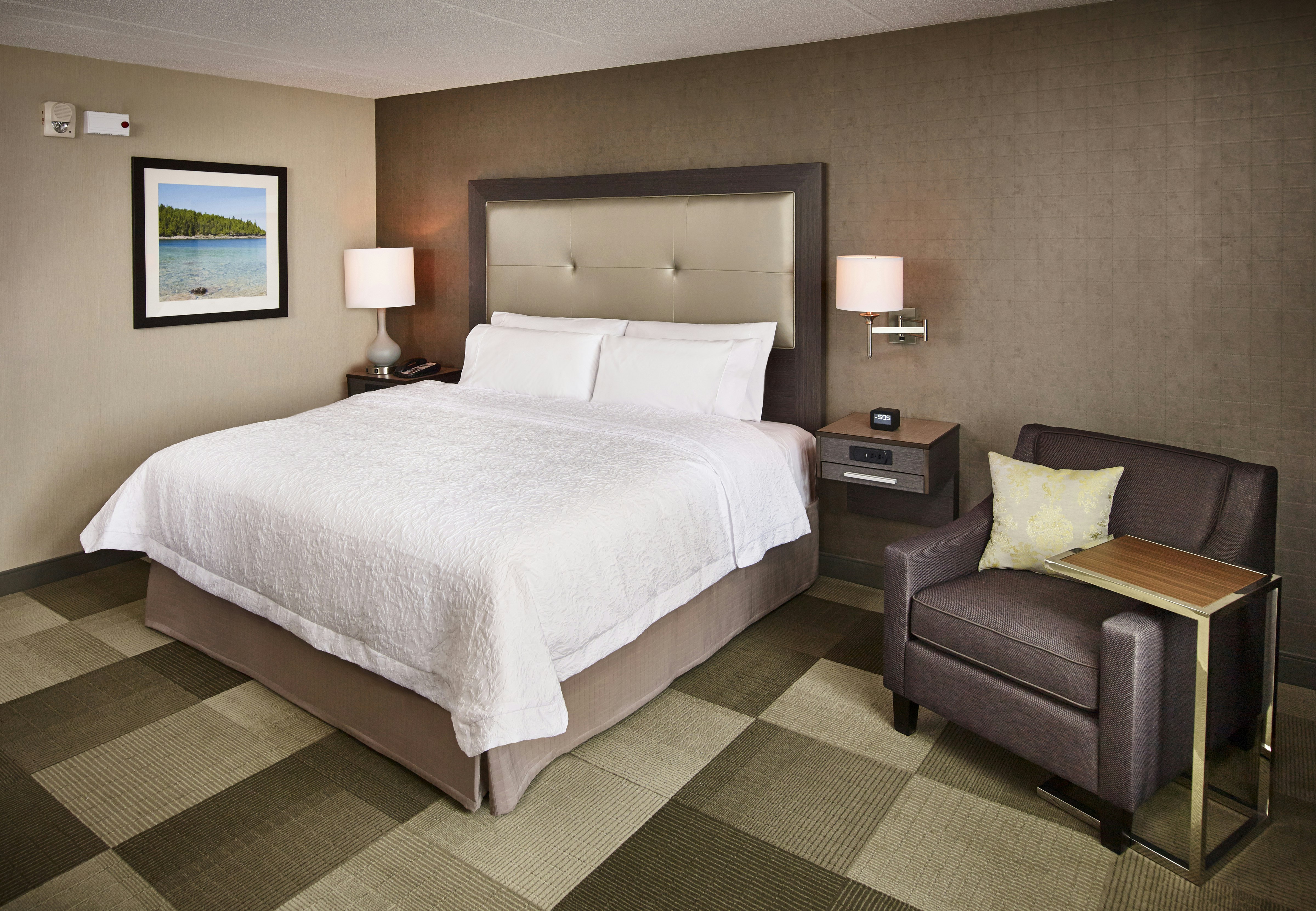 Room, King Bed, Accessible