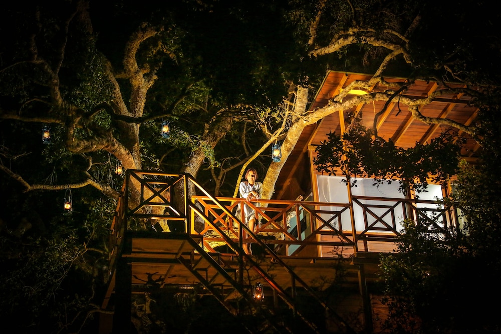 Leopard Nest Luxury Campsite 33/50