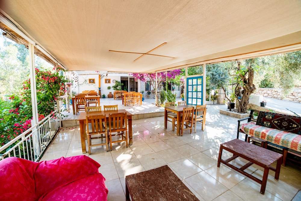Eucalyptus Pension 10/15