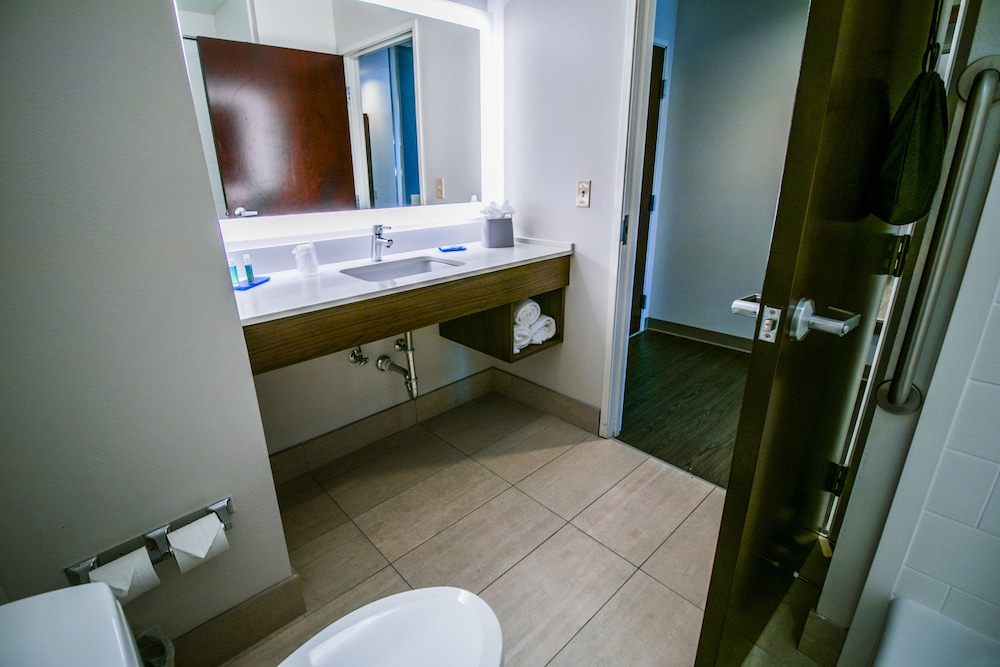 Holiday Inn Express Hotel And Suites Baton Rouge Port Allen 22/49