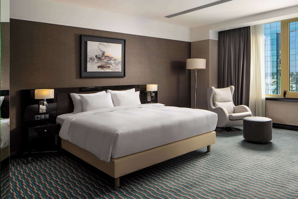 Radisson Blu Leogrand Hotel 27/66