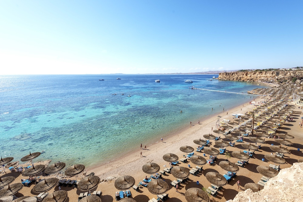 Reef Oasis Beach Resort 17/82
