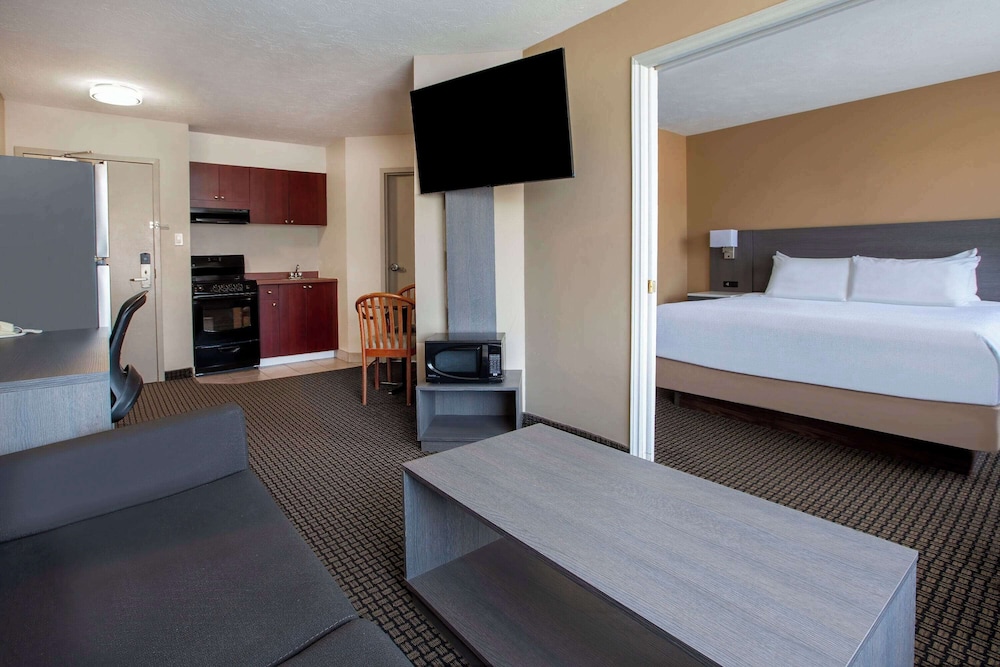 Theme, Space, Studio, Suite, King Bed, Bunk Bed