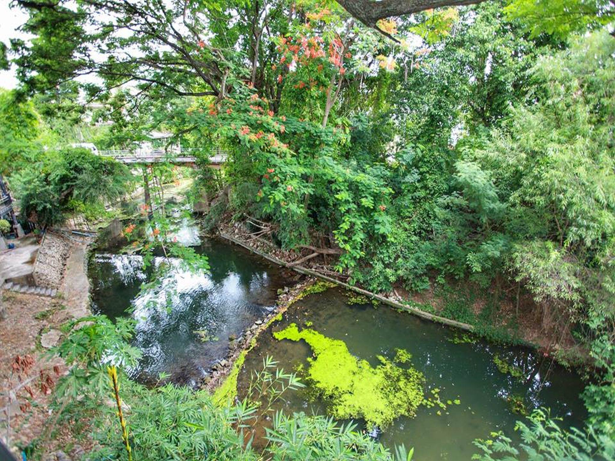 Bann Yang Tree Homestay At Pakchong 40/42