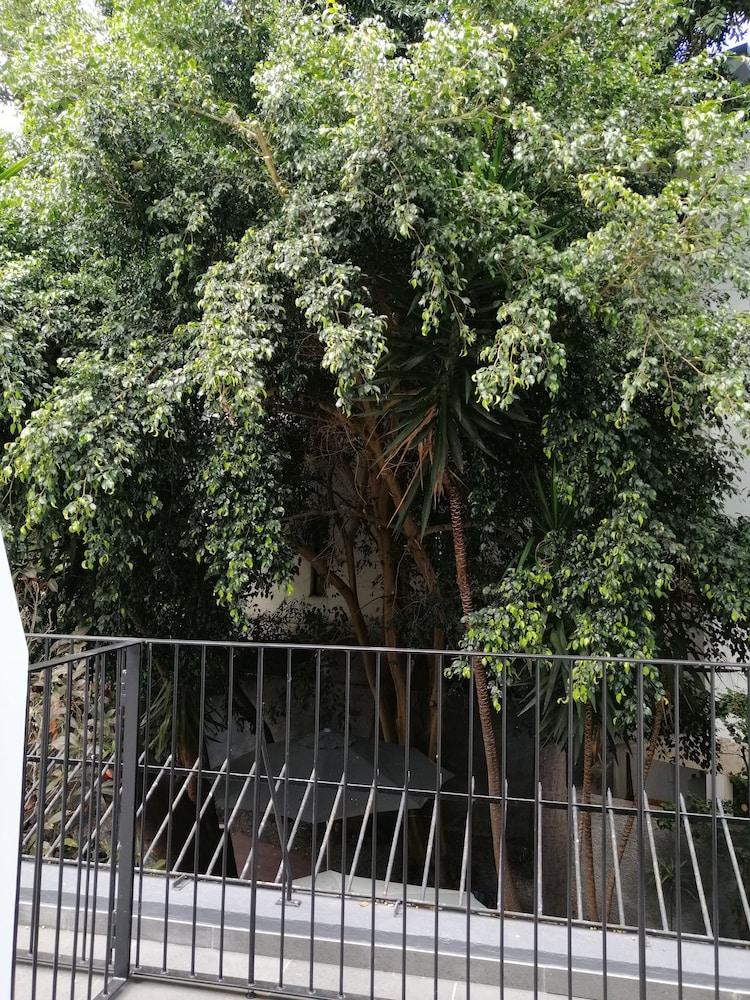 The Editory Garden Carmo Funchal 55/63