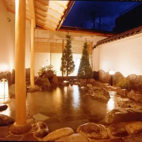 Kakeyu Onsen Shikanoya Ryokan 13/22