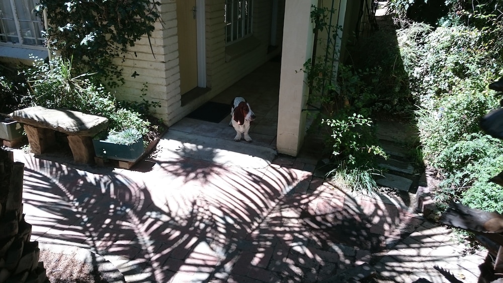 Ladybrand Guest House 49/50