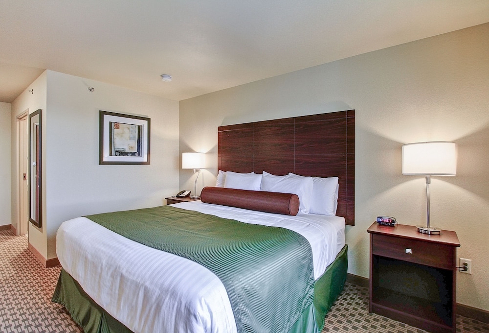 Cobblestone Hotel & Suites - Pulaski 20/62