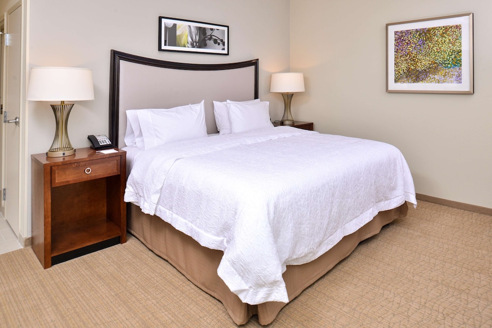 Hampton Inn Suites Orlando Downtown South Medical Center 15/46