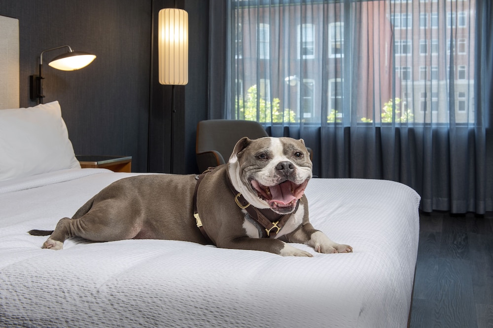 Courtyard by Marriott Washington, DC Dupont Circle 18/43