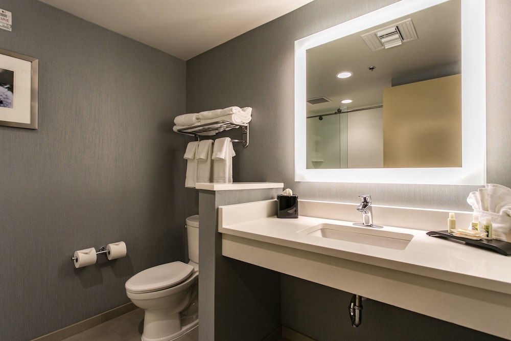 Holiday Inn Hotel & Suites CHATTANOOGA DOWNTOWN 12/65