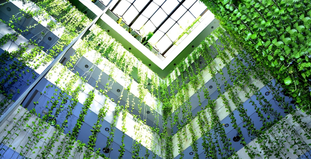 Yotau All Suites Hotel 2/50