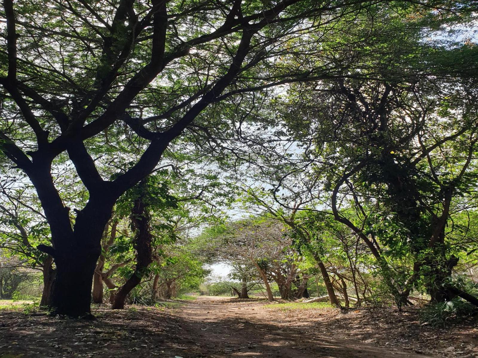 Pumusa Bushcamp 29/48