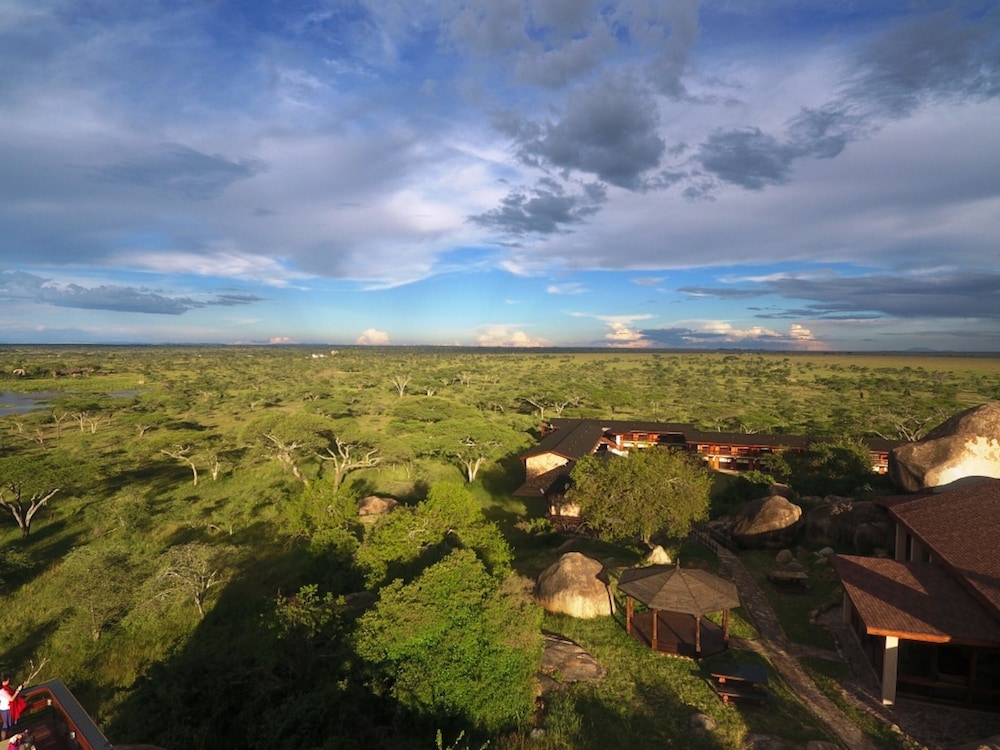 Seronera Wildlife Lodge 17/40