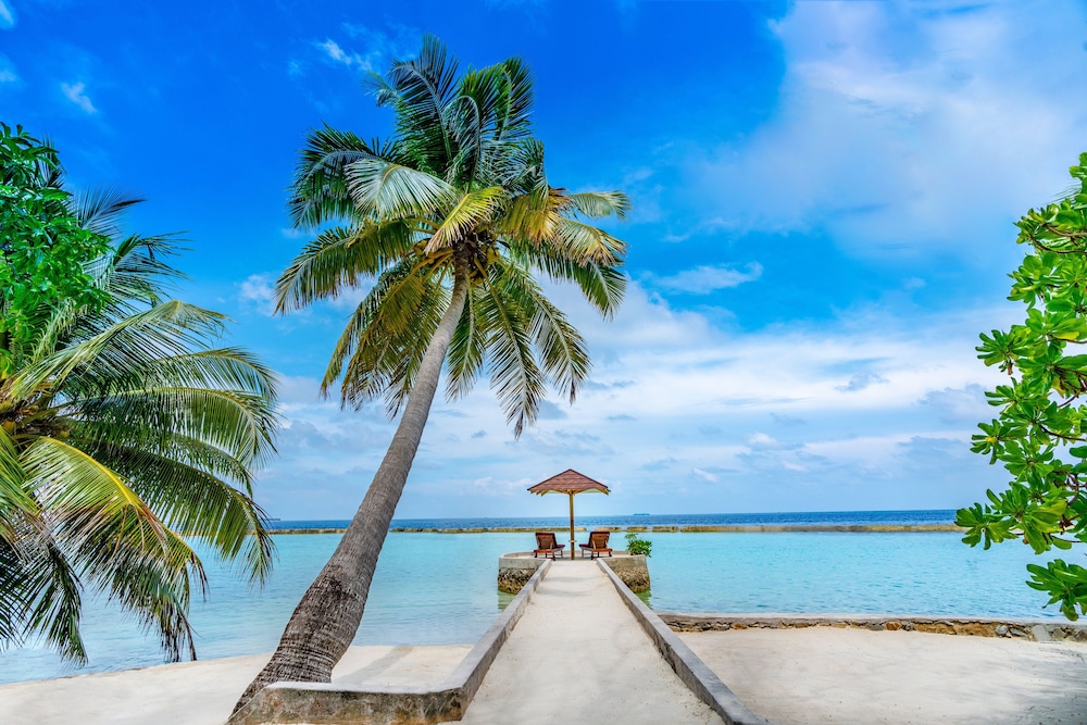 Ellaidhoo Maldives By Cinnamon 65/82