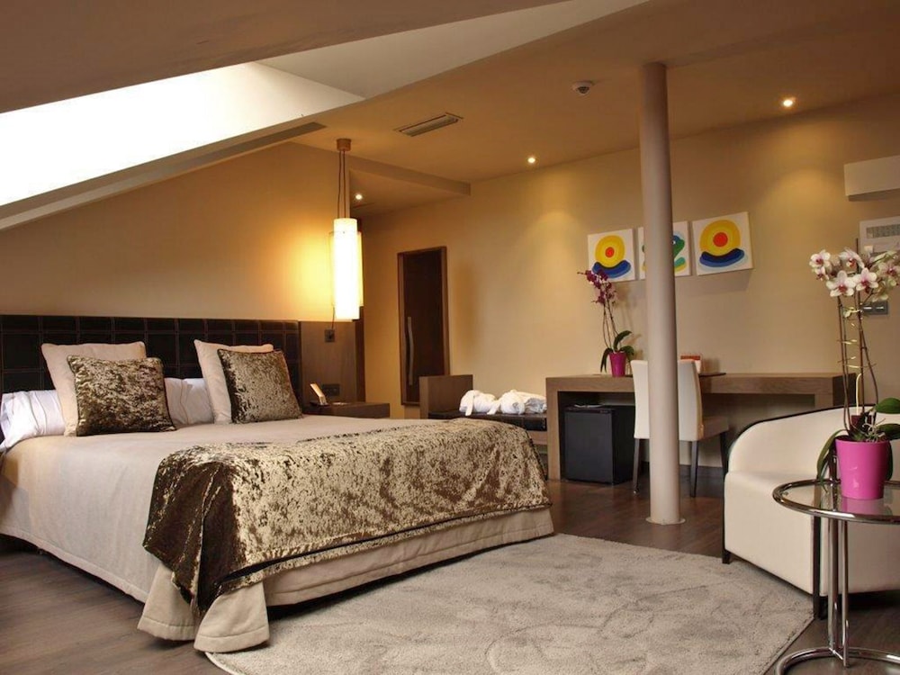La Piconera Hotel and Spa 13/50