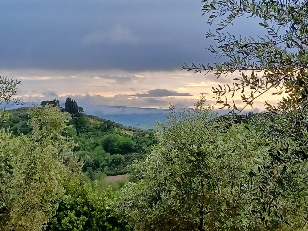 Tenuta di Sticciano 39/50