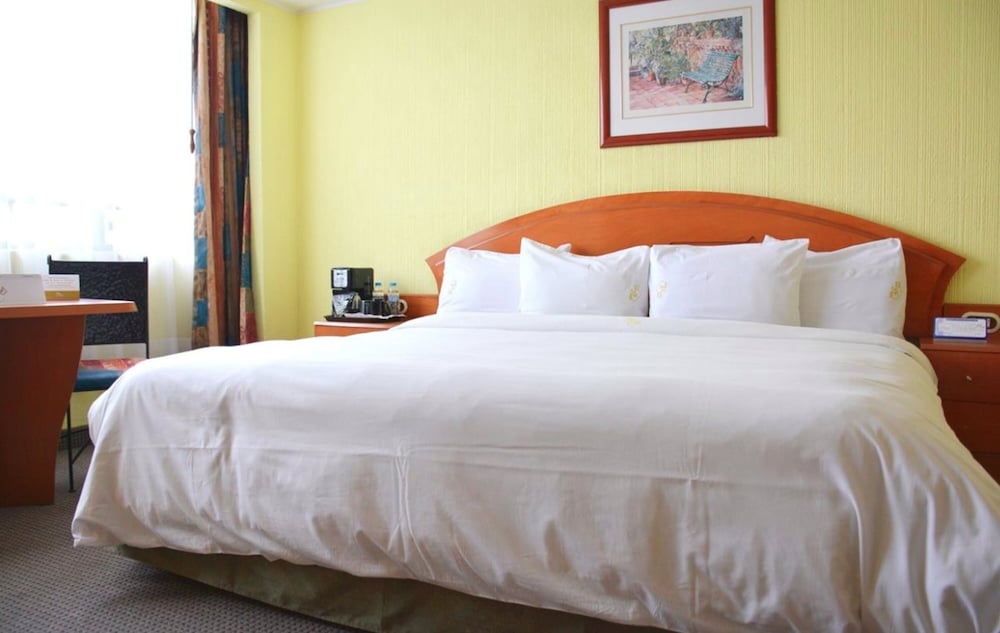 Real Del Sur Hotel 10/50