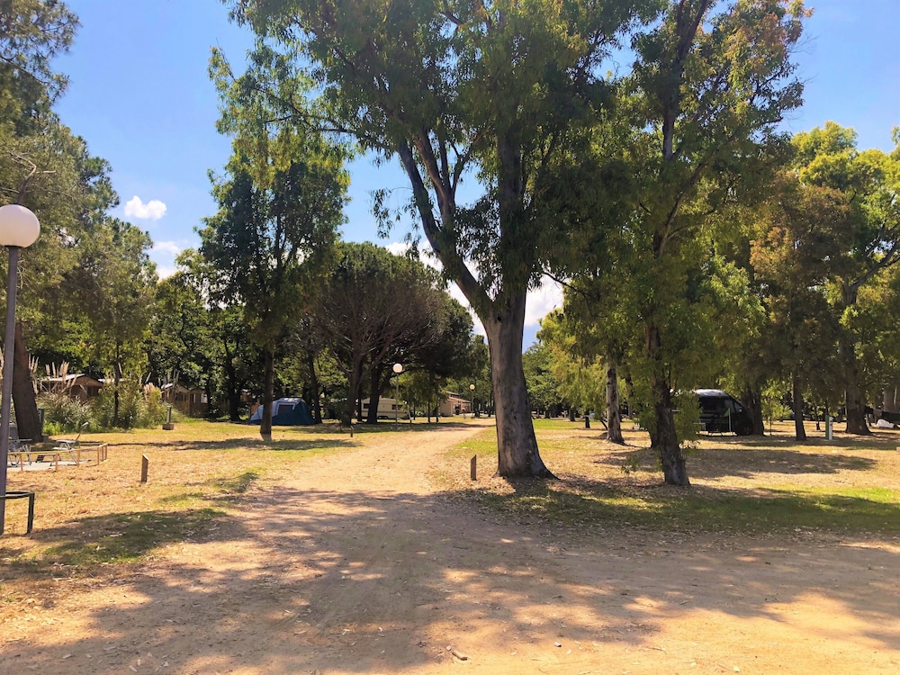 Camping Dolce Vita 26/50