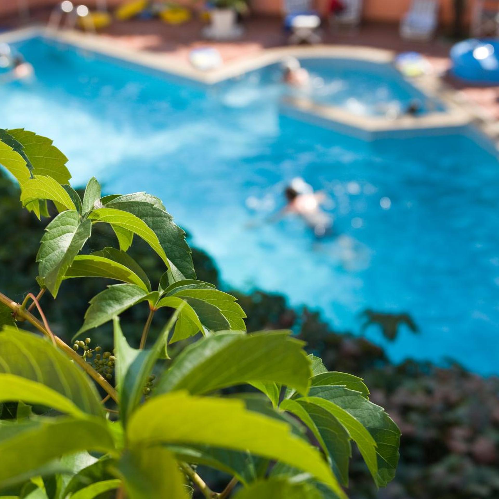 Hotel Meeting 45/50