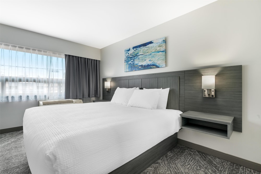 Standard, King Bed