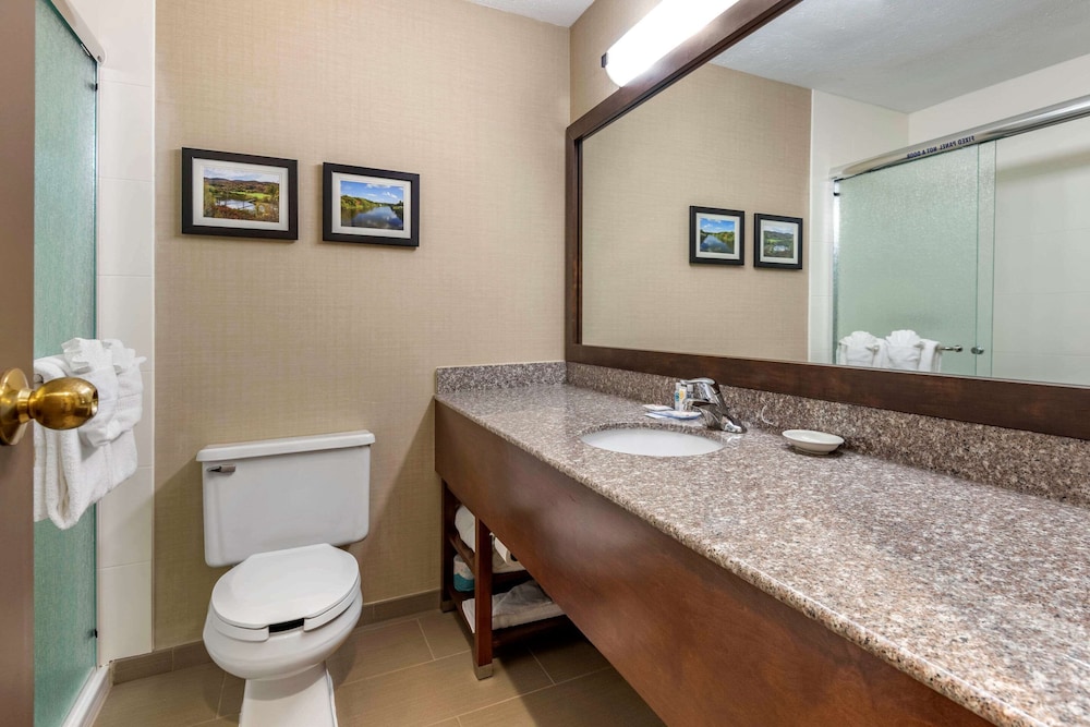 Comfort Inn & Suites Montpelier-Berlin 19/45