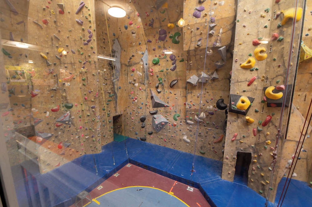 Rock Solid Backpackers 17/45