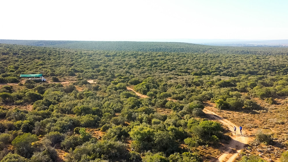 Kudu Ridge Game Lodge 26/41