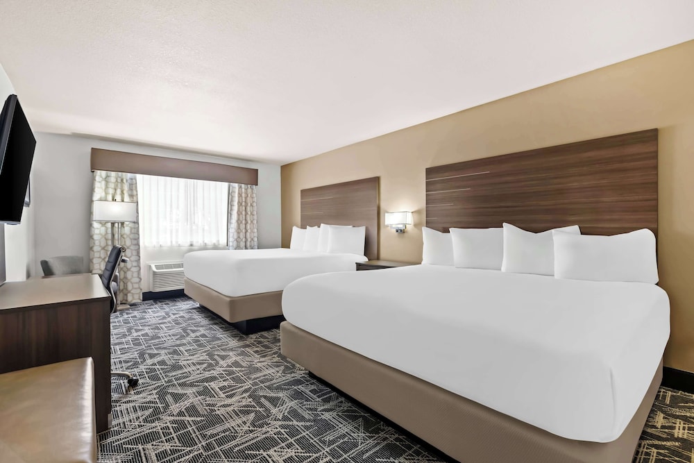 Executive, Suite, 4 King Beds, Large