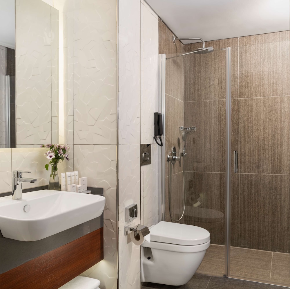 Royan Hotel Hagia Sophia Istanbul, A Member of Radisson Individuals 49/50